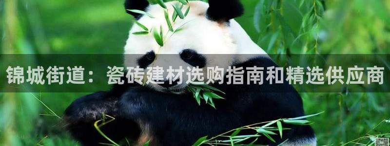 杏鑫平台代理怎么样