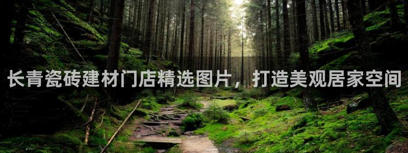 杏鑫官方平台怎么样啊