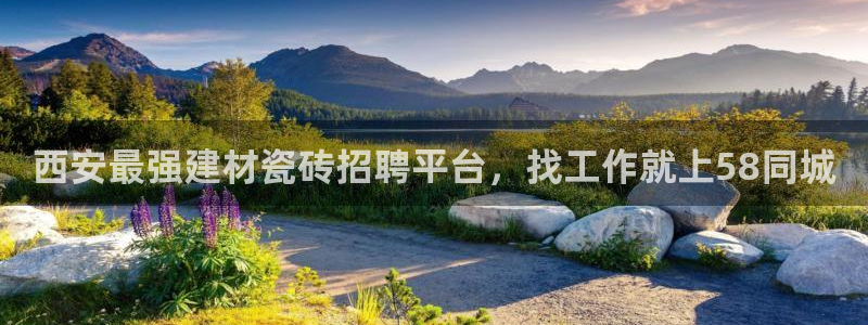 杏鑫平台野马联盟