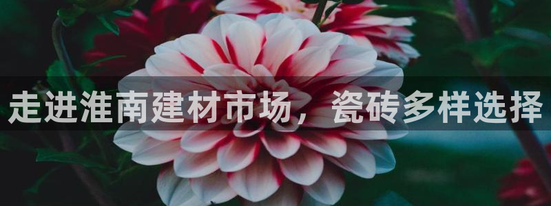 杏鑫娱乐是合法的吗是真的吗