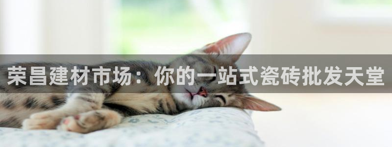 杏鑫官网注册账号怎么注册不了