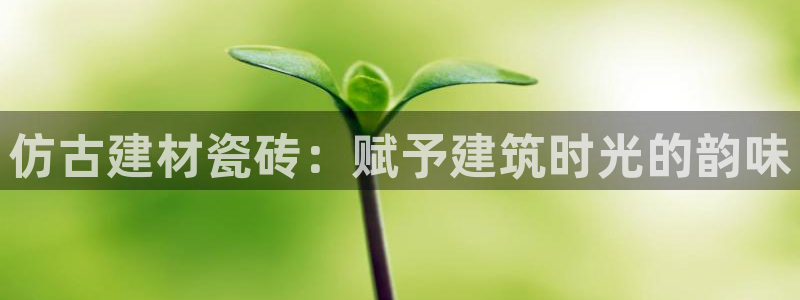 杏鑫平台怎么样黑钱吗安全吗可靠吗