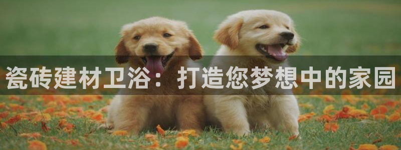 杏鑫官方平台怎么样
