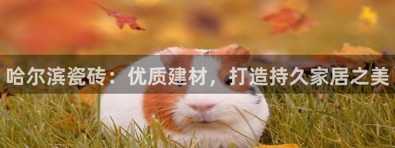 杏鑫代理注册登录