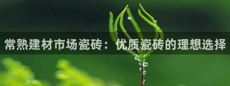 杏鑫平台代理怎么样