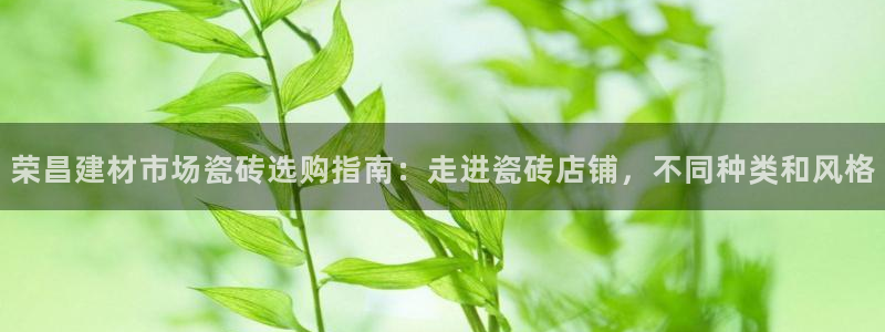 杏鑫平台代理怎么样赚钱