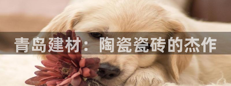 杏鑫官网注册账号密码