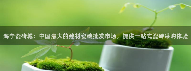 杏鑫手机客户端