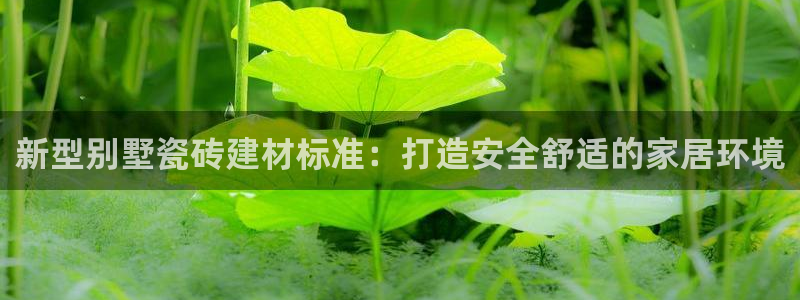 杏鑫主管