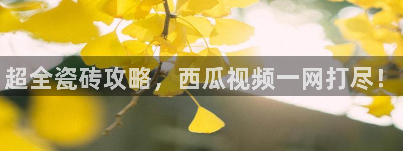 杏鑫平台代理怎么做的