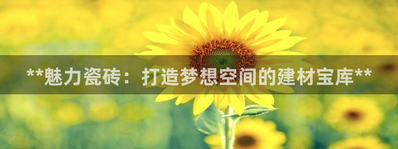 杏鑫平台怎么样