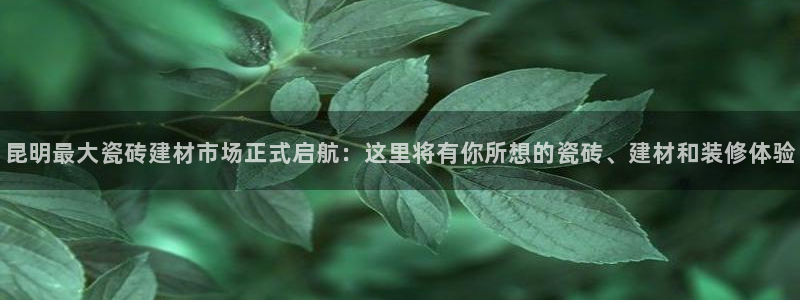 杏鑫娱乐是合法的吗?