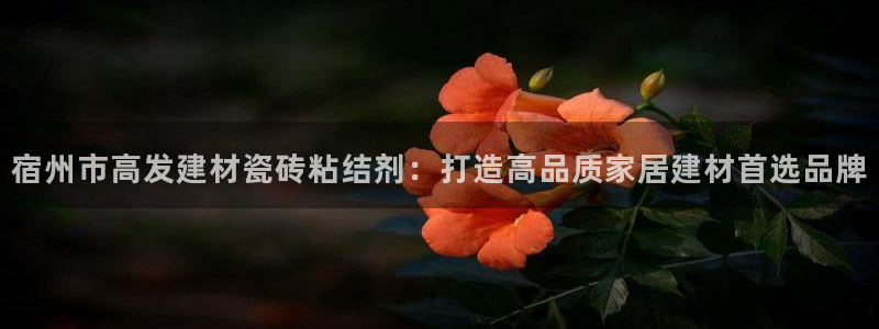 杏鑫平台代理注册