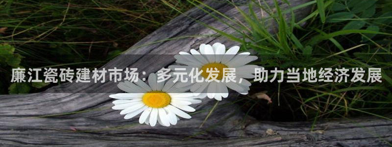 杏鑫平台代理怎么做赚钱