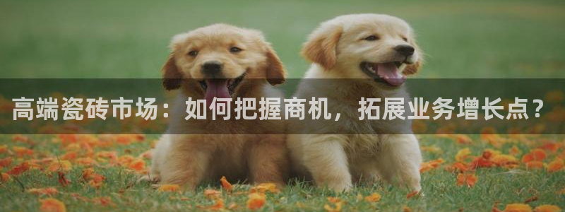 杏鑫平台是黑平台吗是真的吗