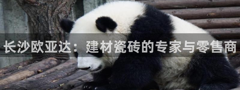 杏鑫平台招商怎么样啊