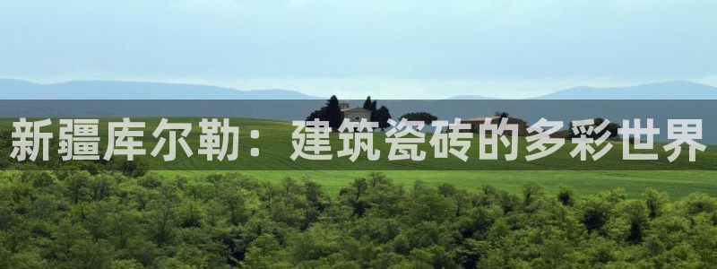 杏鑫平台官方网站