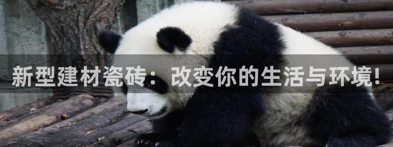 杏鑫娱乐官网首页
