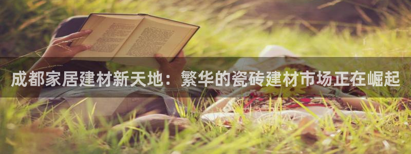 杏鑫手机客户端