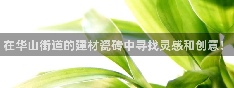 杏鑫平台怎么样知乎