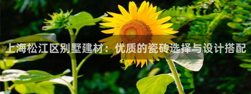 杏鑫娱乐官网首页