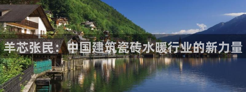 杏鑫平台代理注册流程视频