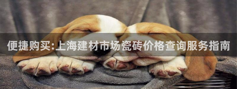 杏鑫娱乐官网
