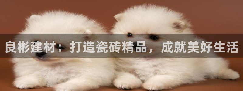 杏鑫平台注册入口在哪里找