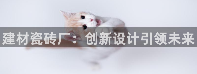 杏鑫娱乐负责人