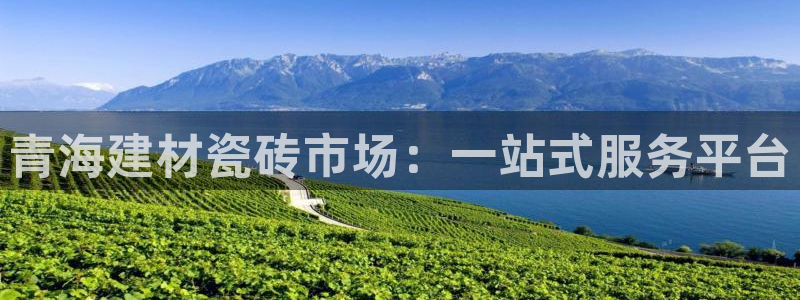 杏鑫平台在线注册