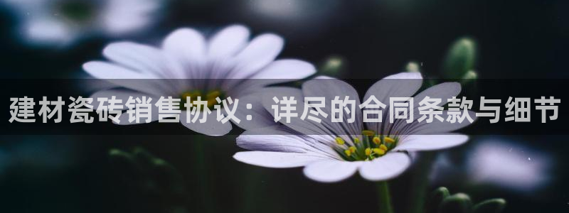 杏鑫平台正规吗可信吗