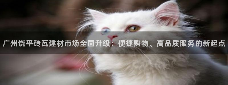 杏鑫娱乐开发团队