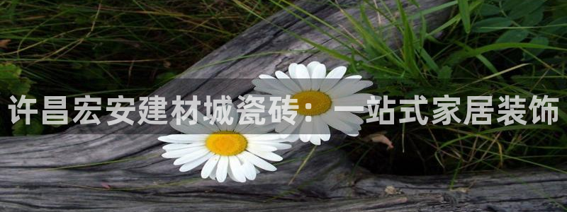 杏鑫平台注册登录