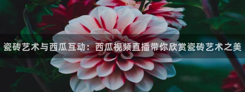 杏鑫平台代理注册登录不了怎么办呀视频