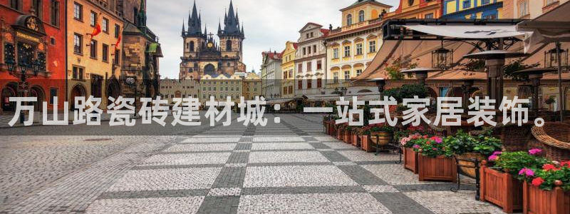 杏鑫平台在线注册流程