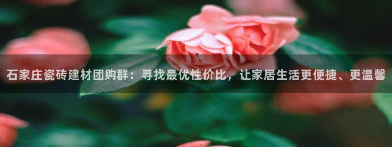 杏鑫平台正规吗是真的吗