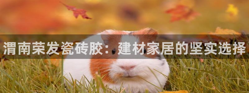 杏鑫平台是黑平台吗是真的吗