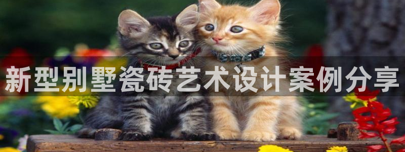 杏鑫平台代理怎么做的