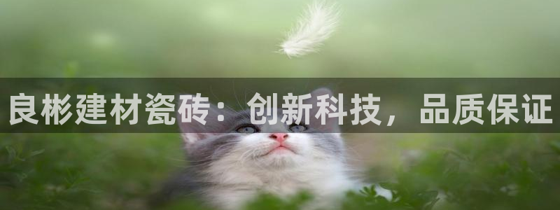 杏鑫平台正规吗