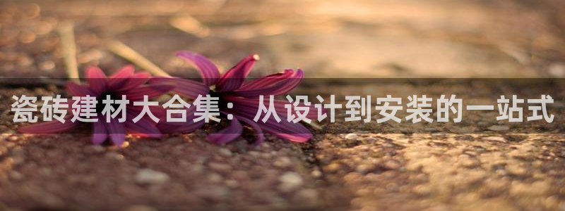 杏鑫平台代理注册流程