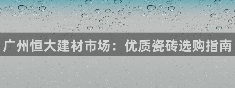 杏鑫娱乐开发团队