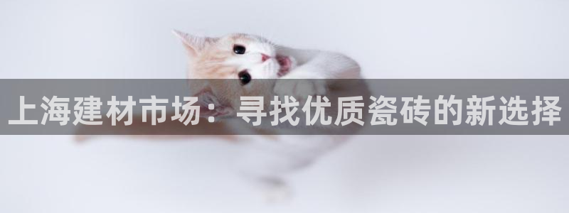 杏鑫平台正规吗可信吗