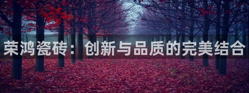 杏鑫平台代理怎么做