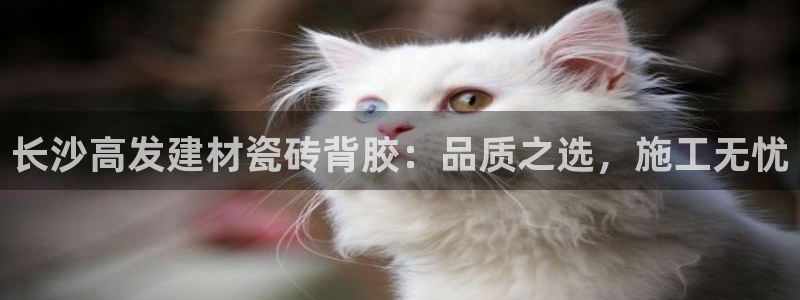 杏鑫平台代理注册流程