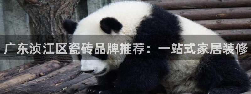 杏鑫官方平台怎么样啊知乎