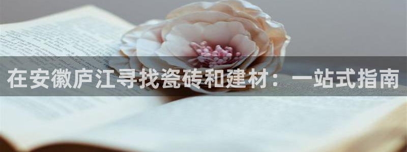 杏鑫官网最新信息