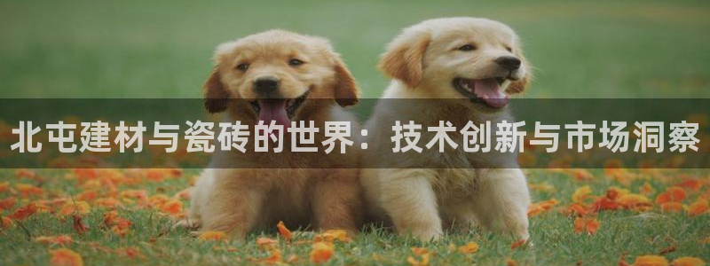 杏鑫平台代理怎么样赚钱