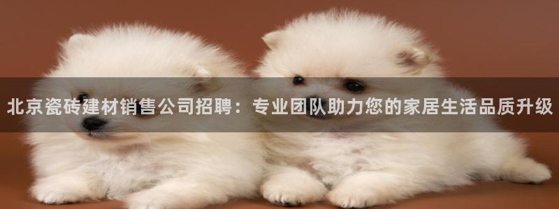 杏鑫平台注册地址在哪里