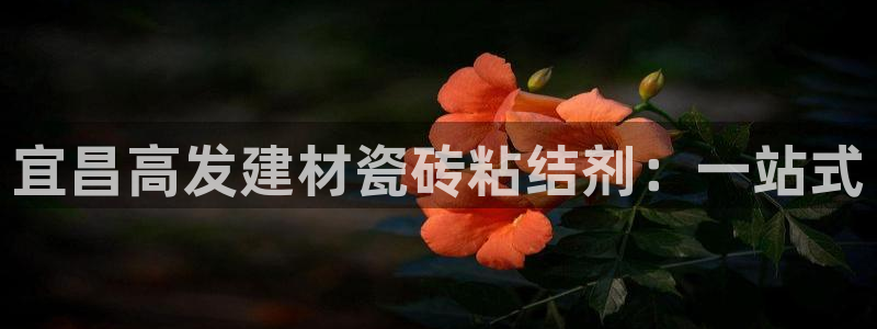 杏鑫平台代理注册要钱吗