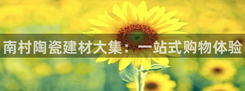 杏鑫官网注册账号是什么